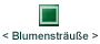 Aktuelle Blumensträuße