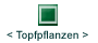 Topf- und Zimmerpflanzen